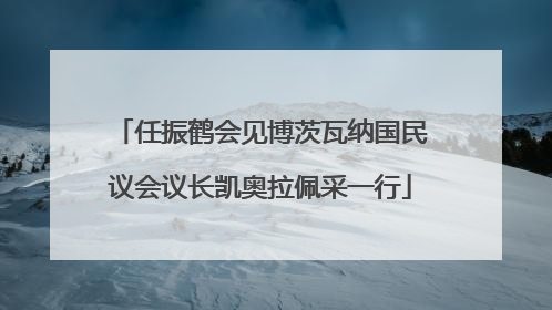 任振鹤会见博茨瓦纳国民议会议长凯奥拉佩采一行